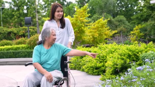 Ázsiai Gondozó Vagy Ápoló Aki Tolószékes Beteget Gondozza Fogalma Boldog — Stock videók