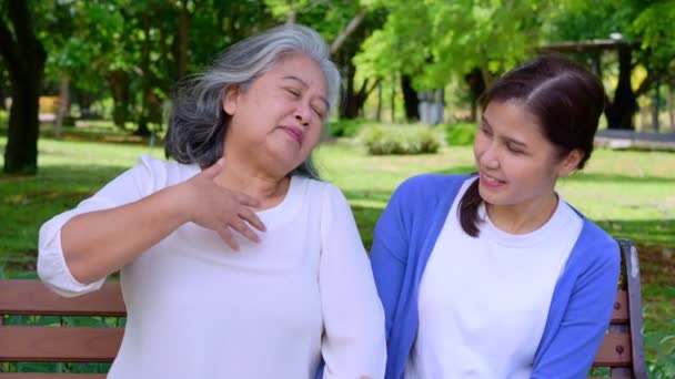 Happy Senior Mother Gray Hair Talk Laugh Daughter Caregiver Park — Stock video
