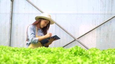 Hidroponik sebze çiftliklerinde yeşil meşe tutan Asyalı kadınlar ve Greenbo 'nun köklerini kontrol eden ve sera çiftlik bahçesindeki organik sebzelerin kalitesini kontrol eden kadınlar. Tarım sağlık kavramı için organik.