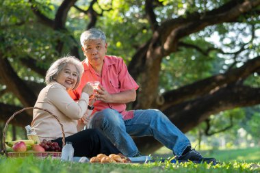 Yaşlı ve mutlu eşler parkta bir battaniyenin üzerinde dinleniyor ve çok az değerli anılarını paylaşıyorlar. Son sınıf çifti piknikte harika vakit geçiriyorlar. Olgun ilişkiler kavramı
