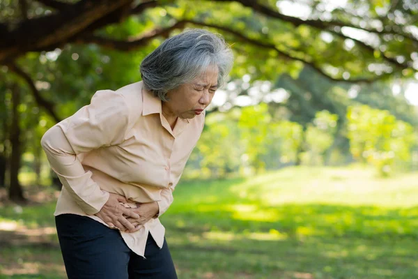 Sick Asian Senior Woman Stomachache Gastroenterologists Elderly Have Stomach Problem — Stock Photo, Image