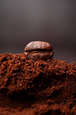 Kahve çekirdekleri yakın çekim için fotokopi alanı ile karışık kavrulmuş kahve yığınına. Kahve tazeliği kavramı