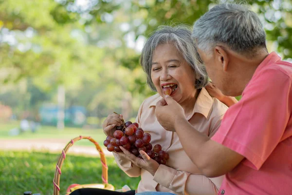 Happy old elderly couple spouses relaxing and sitting on a blanket in the park and sharing few precious memories. Senior couple having great time together on a picnic. concept of mature relationships