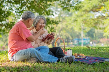 Yaşlı ve mutlu eşler parkta bir battaniyenin üzerinde dinleniyor ve çok az değerli anılarını paylaşıyorlar. Son sınıf çifti piknikte harika vakit geçiriyorlar. Olgun ilişkiler kavramı