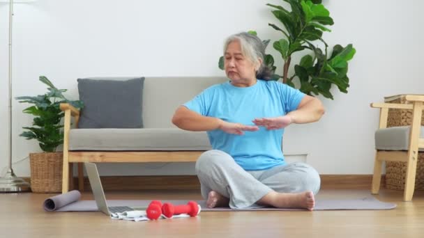 Asian Senior Woman Stretching Exercise Workout Home Active Mature Woman — Vídeos de Stock