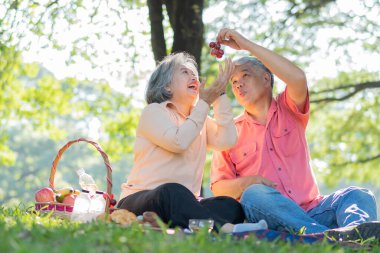 Yaşlı ve mutlu eşler parkta bir battaniyenin üzerinde dinleniyor ve çok az değerli anılarını paylaşıyorlar. Son sınıf çifti piknikte harika vakit geçiriyorlar. Olgun ilişkiler kavramı