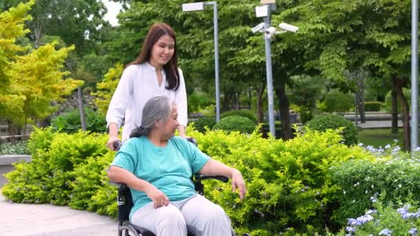 Asiatisk Noggrann Vårdgivare Eller Sjuksköterska Som Tar Hand Patienten Rullstol — Stockvideo
