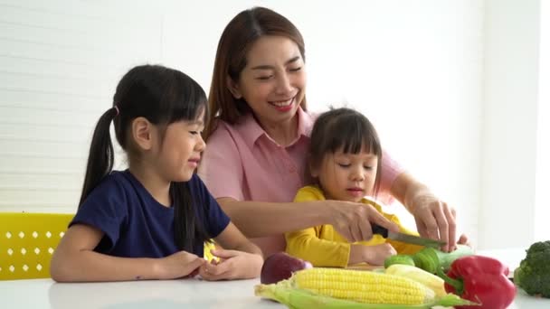 Disfrutar Mamá Asiática Enseñando Una Pequeña Hija Sosteniendo Cuchillo Verduras — Vídeos de Stock