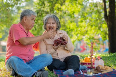 Yaşlı ve mutlu eşler parkta bir battaniyenin üzerinde dinleniyor ve çok az değerli anılarını paylaşıyorlar. Son sınıf çifti piknikte harika vakit geçiriyorlar. Olgun ilişkiler kavramı