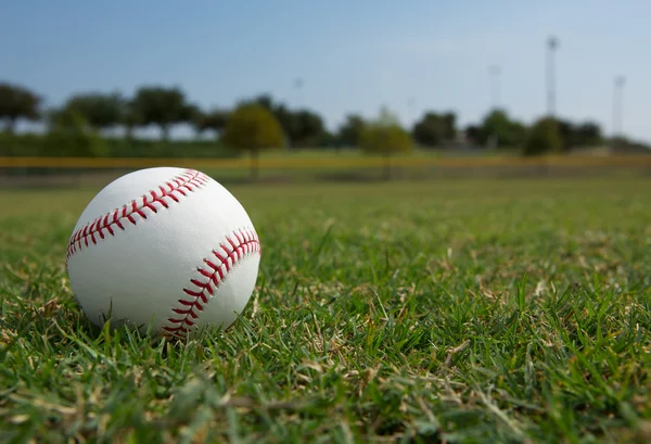 Baseball v outfield — Stock fotografie