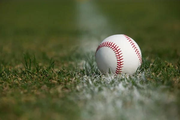 Honkbal in het outfield-gras — Stockfoto