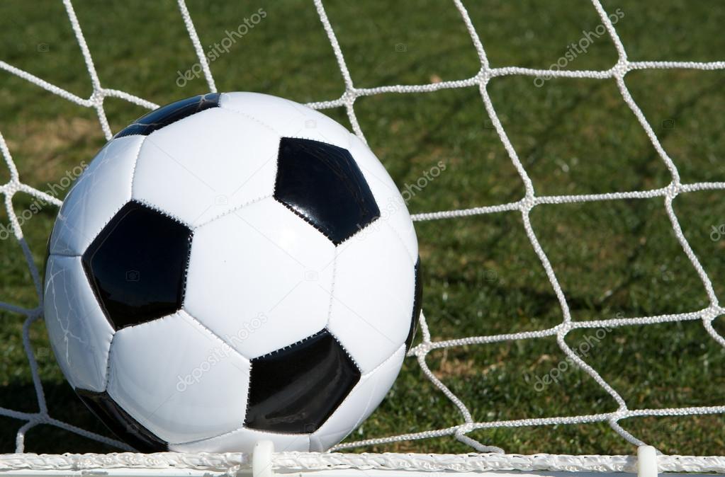 Soccer Ball in the Goal