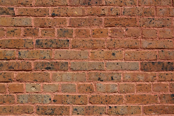 Pared de ladrillo de principios del siglo XIX —  Fotos de Stock