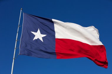 State Flag of Texas clipart