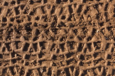 ATV Tire Tracks in the Mud