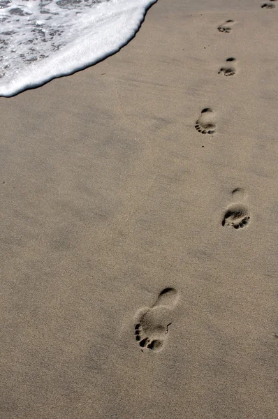 Empreintes de pas dans le sable — Photo