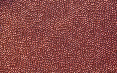 American Football Texture and Laces clipart