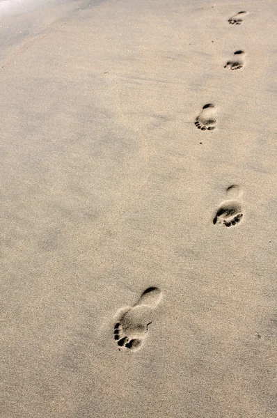 Kroki na plaży — Zdjęcie stockowe