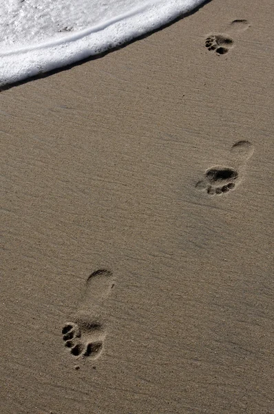Des pas dans le sable — Photo