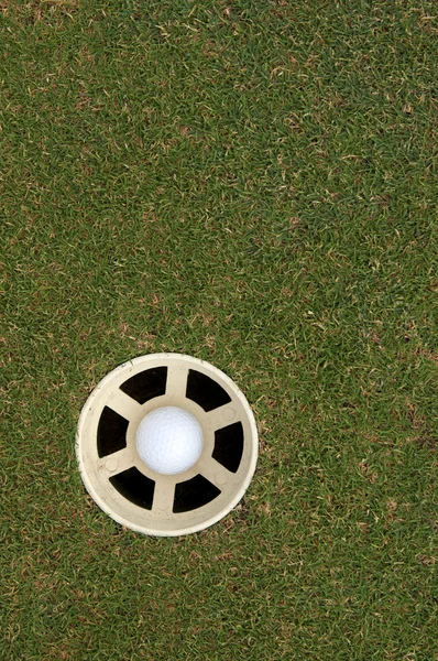 Boule de golf soignée la tasse — Photo