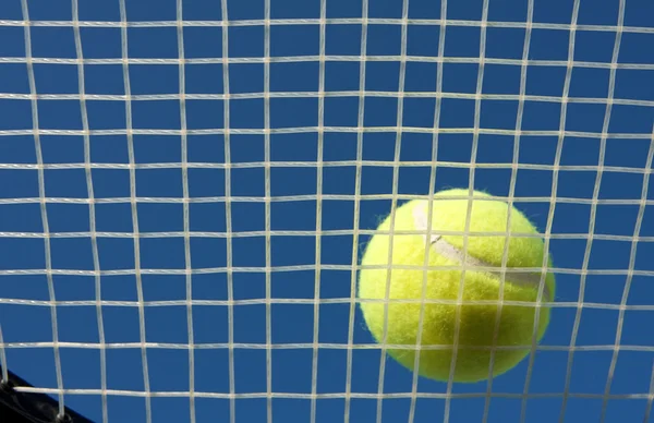 Tennis Ball on the racket strings — Stock Photo, Image