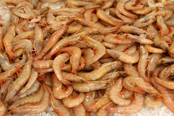 Fresh Shrimp Stock Photo