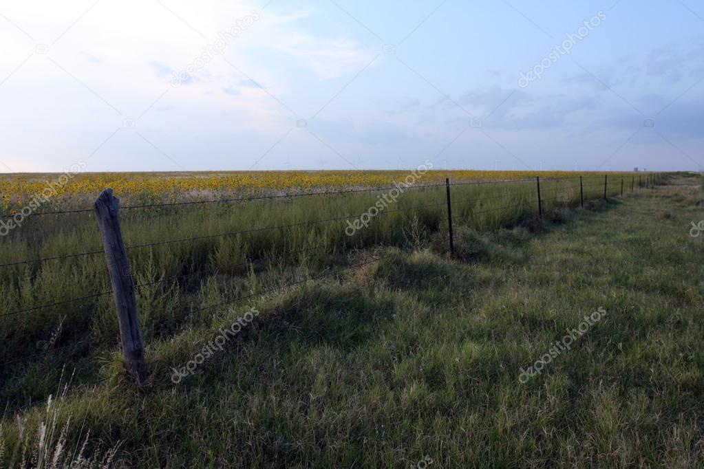 Country Barbed Wire Fence