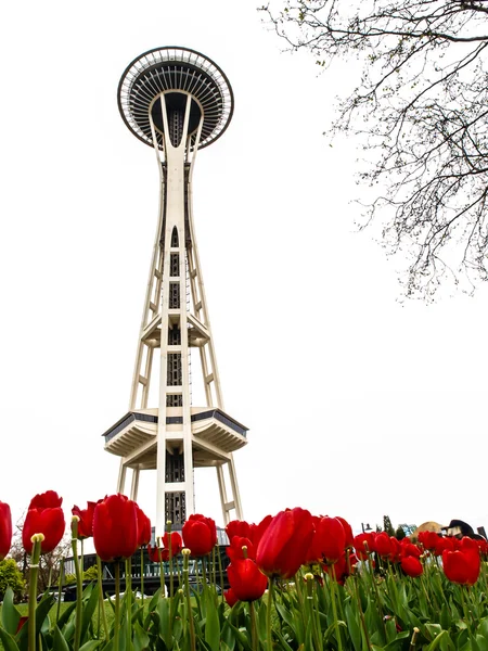 西雅图太空针塔与郁金香 — 图库照片