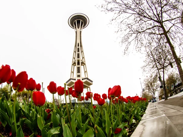 Seattle miejsce igły z tulipany — Zdjęcie stockowe