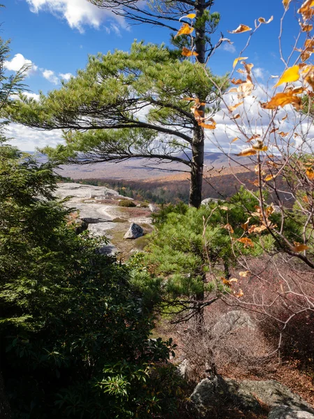 Fall in New York State — Stock Photo, Image