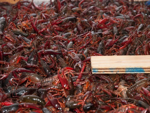 Crawfish Faire bouillir — Photo