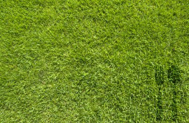 çatal ve kaşık simgesi yeşil çim doku ve arka plan