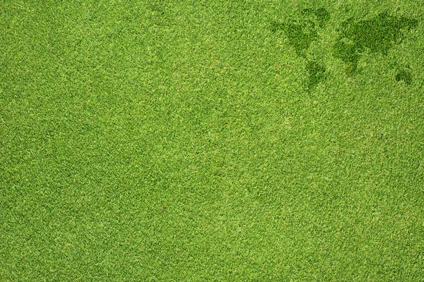 Mapa de palabras sobre hierba verde textura y fondo — Foto de Stock