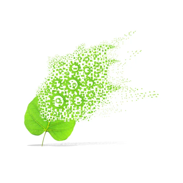 Folha verde de engrenagem sobre fundo branco — Fotografia de Stock