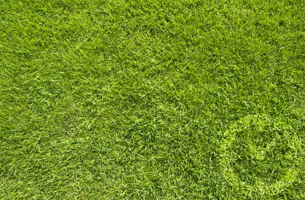 Klokpictogram op groen gras textuur en achtergrond — Stockfoto