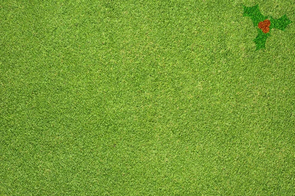 Baga de Natal na textura de grama verde e fundo — Fotografia de Stock