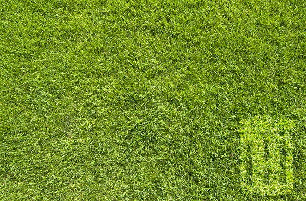 緑の草のテクスチャと背景上のゴミ箱 — ストック写真