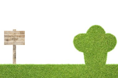 Cook yeşil çim doku ve arka plan