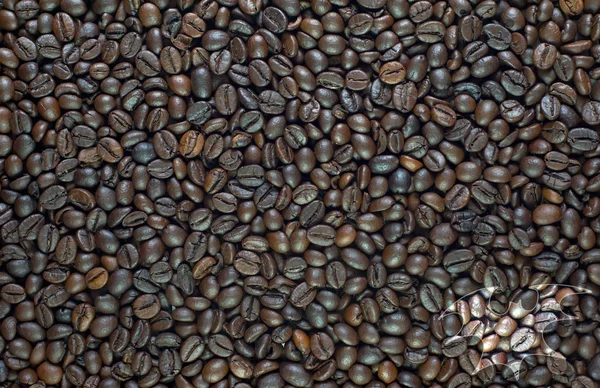 Fledermaus-Symbol auf Kaffee-Hintergrund und texturiert — Stockfoto