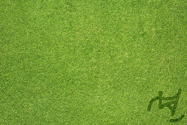 Sport skateboard on green grass texture and background — Stock Photo, Image