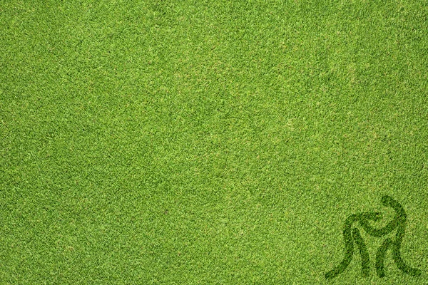 Lucha deportiva sobre hierba verde textura y fondo —  Fotos de Stock