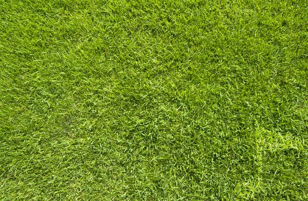 Yeşil çim dokusu ve arka plan müzik simgesi — Stok fotoğraf