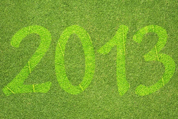 Erba verde di 2013 anno texture e sfondo — Foto Stock
