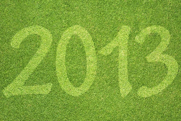 Hierba verde de 2013 año textura y fondo —  Fotos de Stock