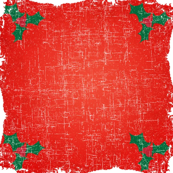 Berry of christmas on grunge paper background and pattern — Stock Photo, Image