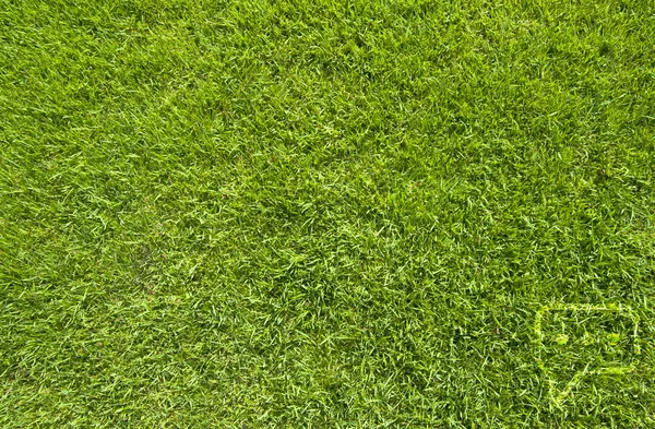 Yorum simge yeşil çim doku ve arka plan — Stockfoto