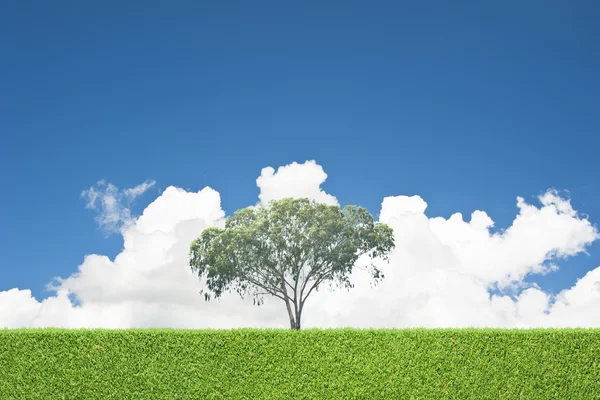 Uma árvore e grama verde fundo — Fotografia de Stock