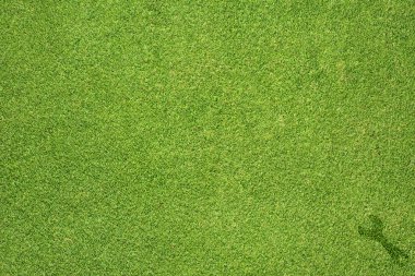 İngiliz anahtarı simgesi yeşil çim doku ve arka plan