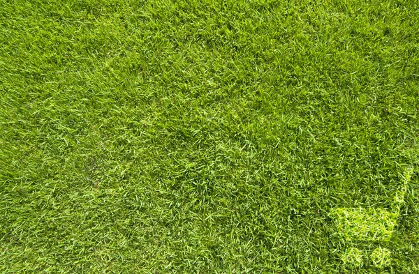 Ícone de mercado na textura de grama verde e fundo — Fotografia de Stock