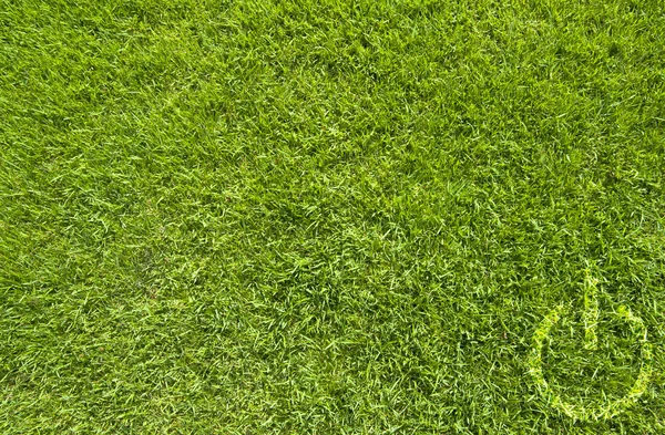 緑の草のテクスチャと背景のシャット ダウン] アイコン — ストック写真